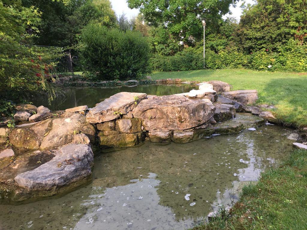 Il Leone D'Oro Hotel Telgate Luaran gambar